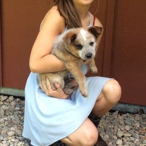 Light Blue XS F21 Dress